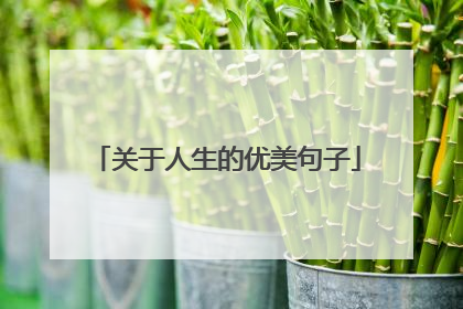 关于人生的优美句子