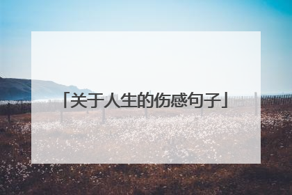 关于人生的伤感句子