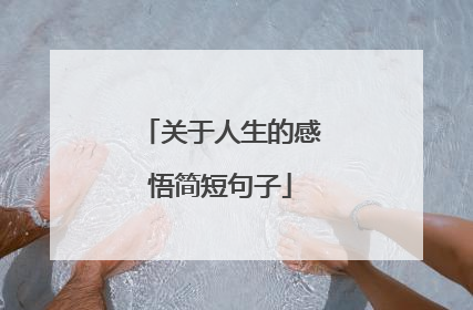关于人生的感悟简短句子
