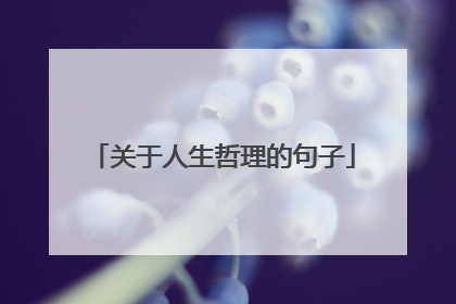 关于人生哲理的句子