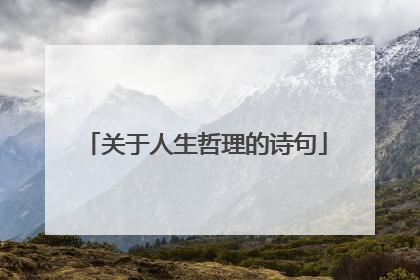 关于人生哲理的诗句