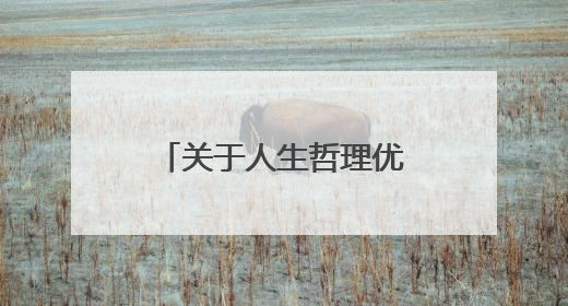 关于人生哲理优美小文章5篇
