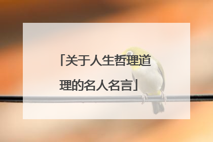 关于人生哲理道理的名人名言