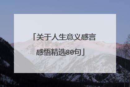关于人生意义感言感悟精选80句