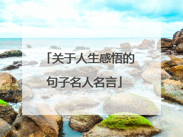 关于人生感悟的句子名人名言