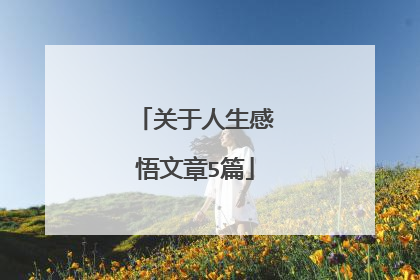 关于人生感悟文章5篇