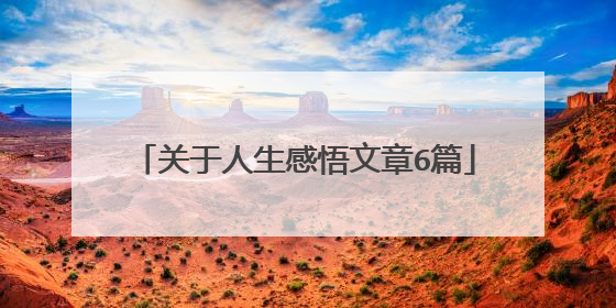 关于人生感悟文章6篇