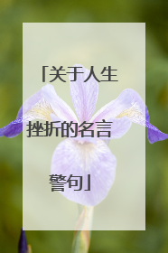 关于人生挫折的名言警句