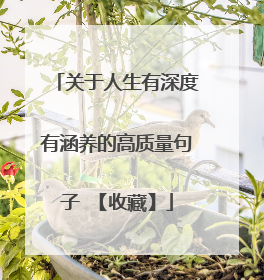 关于人生有深度有涵养的高质量句子 【收藏】