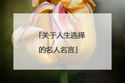 关于人生选择的名人名言