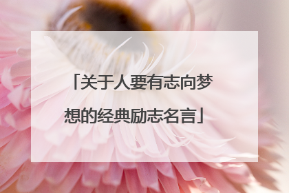 关于人要有志向梦想的经典励志名言