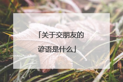 关于交朋友的谚语是什么