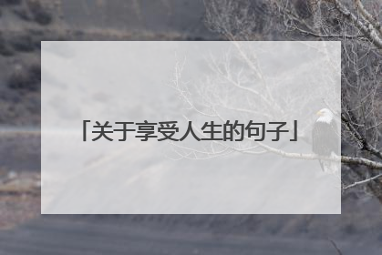 关于享受人生的句子