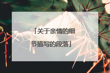 关于亲情的细节描写的段落