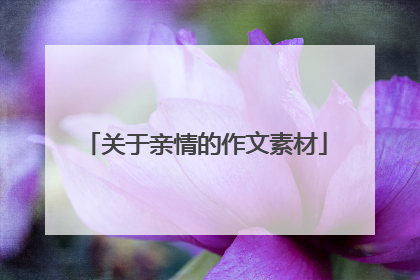 关于亲情的作文素材