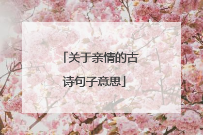 关于亲情的古诗句子意思