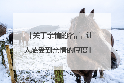 关于亲情的名言 让人感受到亲情的厚度