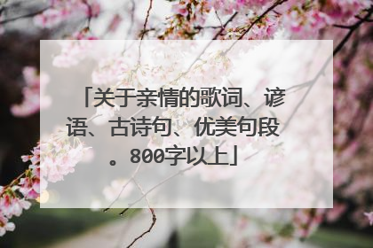 关于亲情的歌词、谚语、古诗句、优美句段。800字以上