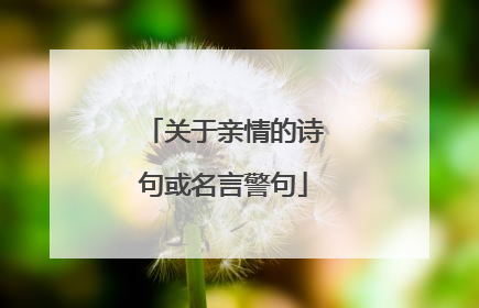 关于亲情的诗句或名言警句