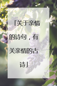 关于亲情的诗句，有关亲情的古诗