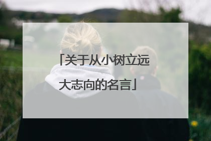 关于从小树立远大志向的名言
