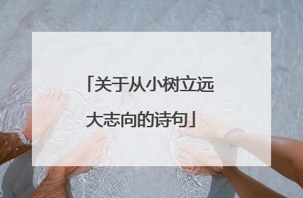 关于从小树立远大志向的诗句