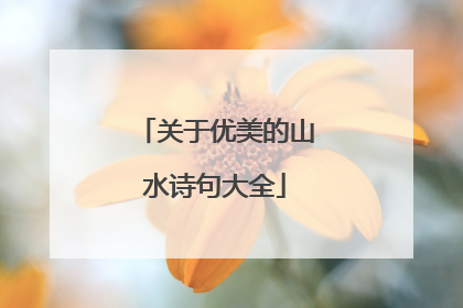 关于优美的山水诗句大全