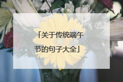关于传统端午节的句子大全