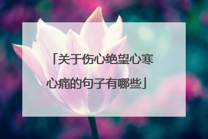 关于伤心绝望心寒心痛的句子有哪些