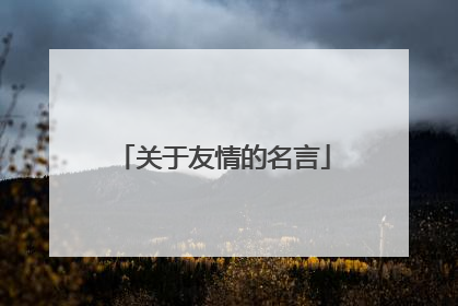 关于友情的名言