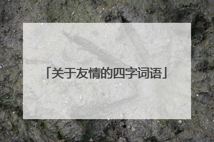 关于友情的四字词语
