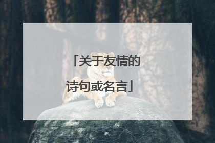 关于友情的诗句或名言
