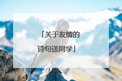 关于友情的诗句送同学