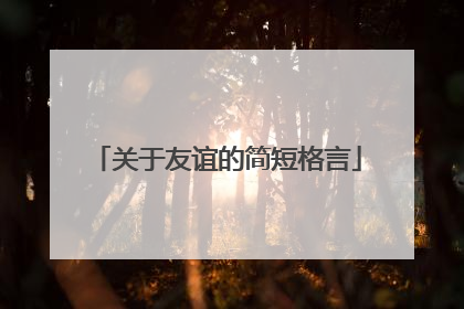关于友谊的简短格言