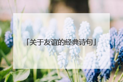 关于友谊的经典诗句