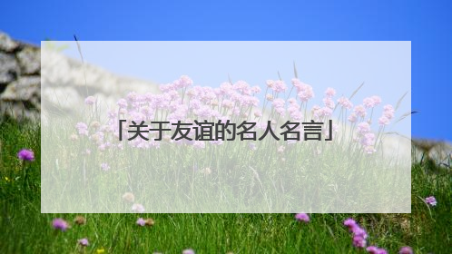 关于友谊的名人名言