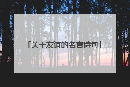 关于友谊的名言诗句
