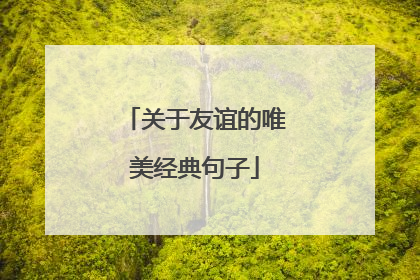 关于友谊的唯美经典句子