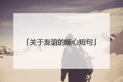 关于友谊的暖心短句
