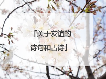 关于友谊的诗句和古诗