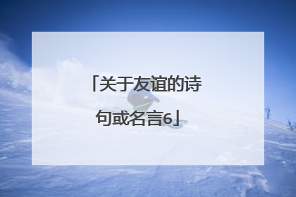 关于友谊的诗句或名言6