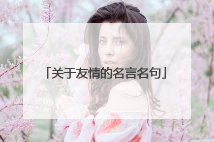 关于友情的名言名句