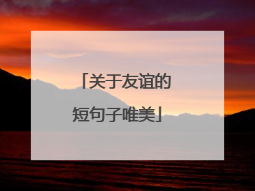 关于友谊的短句子唯美