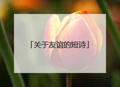 关于友谊的短诗