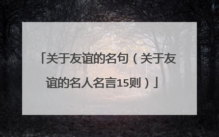 关于友谊的名句(关于友谊的名人名言15则)