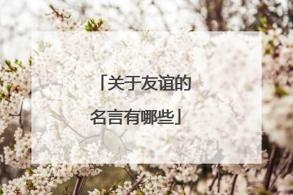 关于友谊的名言有哪些