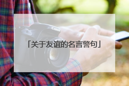 关于友谊的名言警句