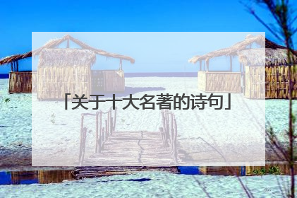 关于十大名著的诗句