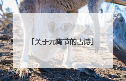 关于元宵节的古诗