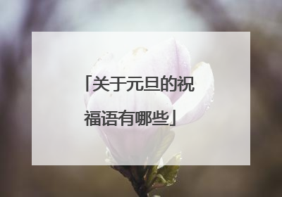 关于元旦的祝福语有哪些